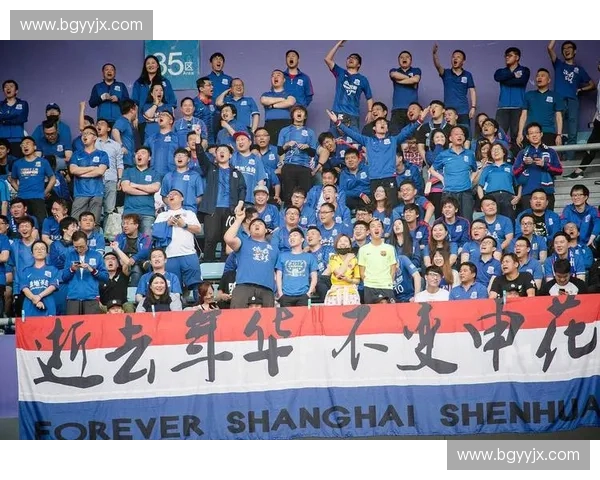 深度解读上海申花球队二零一七完整赛程与关键战役全景指南全面版